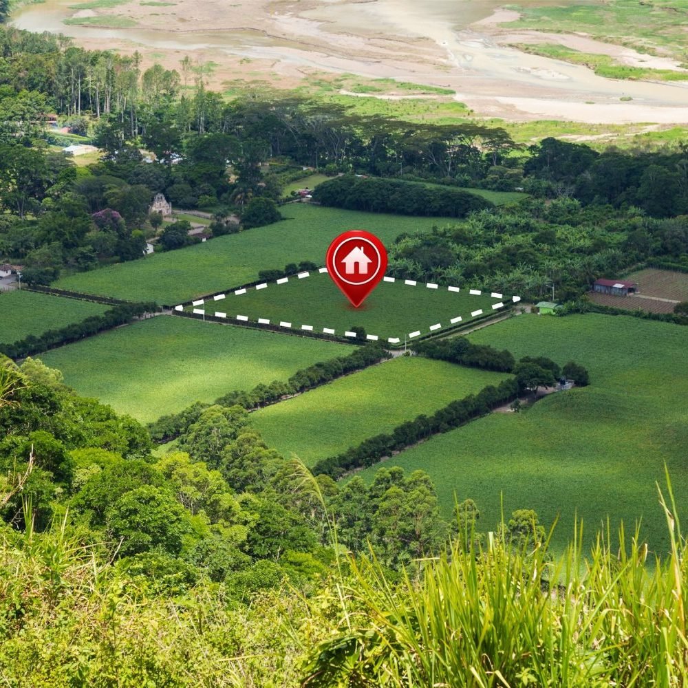 view-land-plot-real-estate-business-development view-land-plot-real-estate-business-development